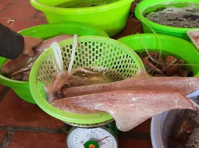 Khu Du Lich Bien Cat Khách sạn Phan Thiết